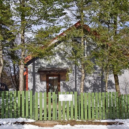 Medaus Apartamentai Тракай Экстерьер фото
